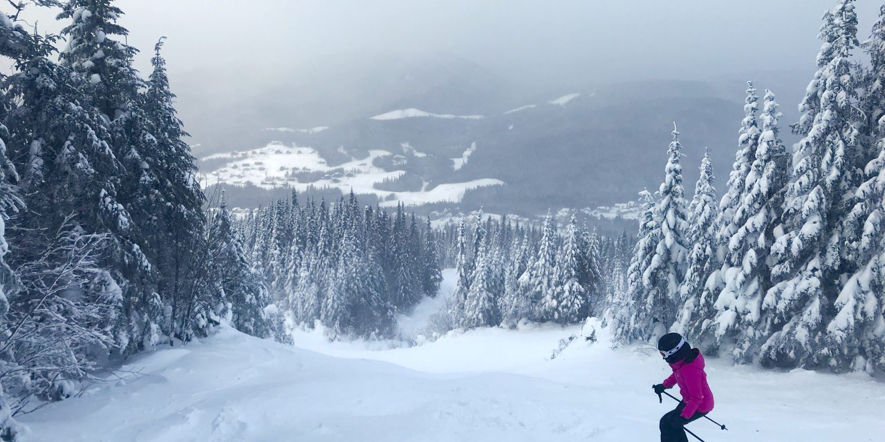 Un skieur dévale les pentes enneigées de la station Le Valinouët